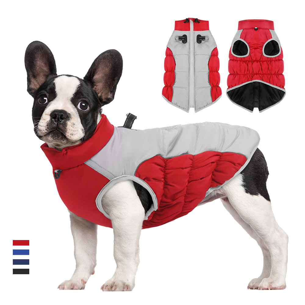 Winter Clothing For Dogs - Vestiti invernali per cani Abbigliamento in