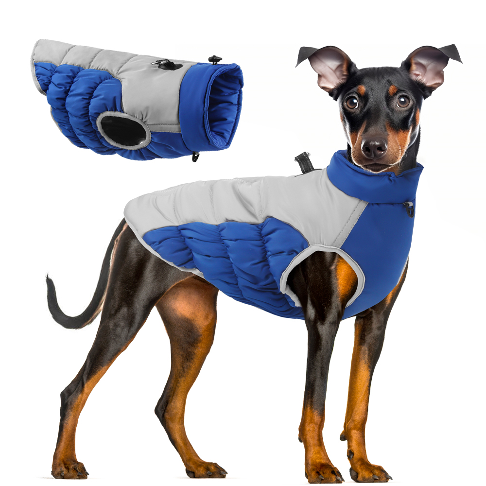 Vestiti invernali per cani Abb - Winter Clothing For Dogs recensione e prezzo