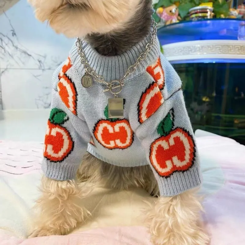 Maglione con lettere Vestiti p - Winter Clothing For Dogs recensione e prezzo