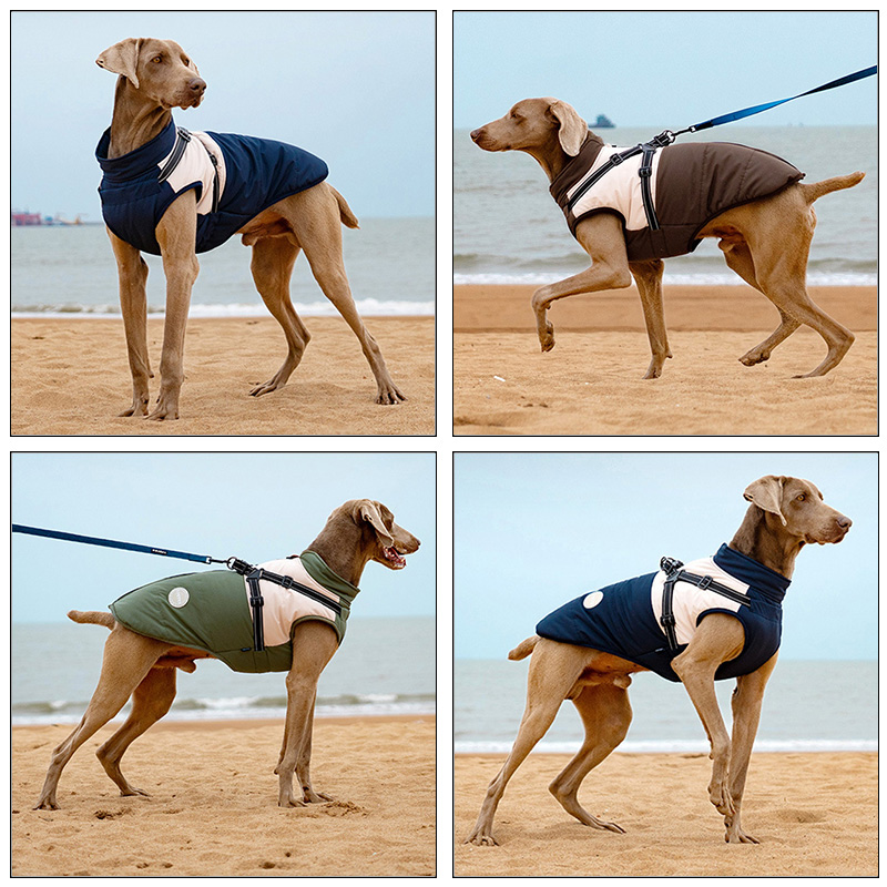 Gilet per cani caldo con imbra - Winter Clothing For Dogs recensione e prezzo