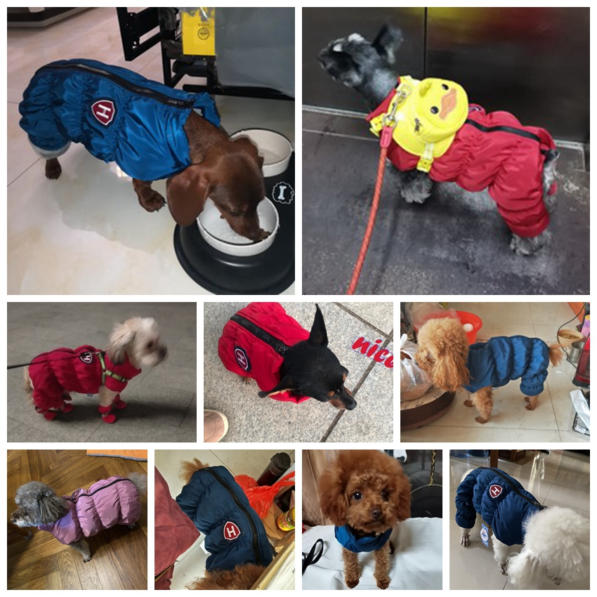 Tuta impermeabile per cani uni - Winter Clothing Baby recensione e prezzo