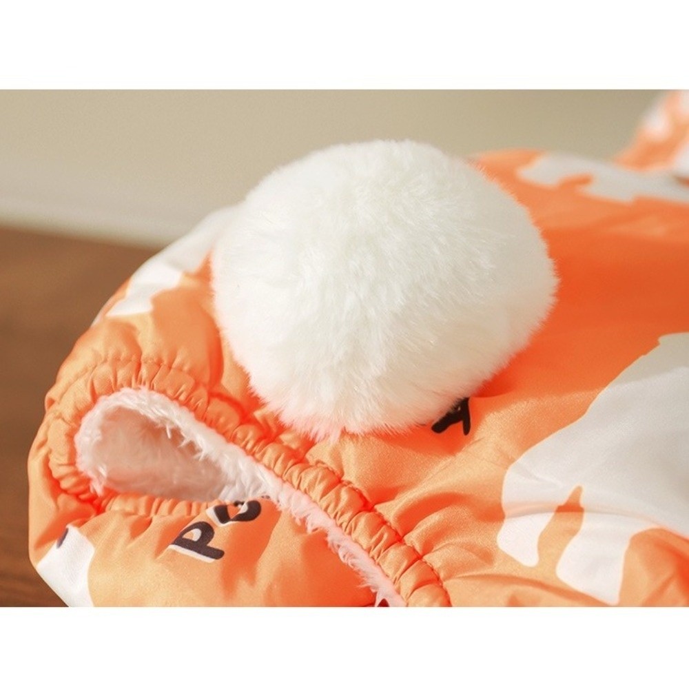 Abbigliamento Invernale per Ca - Winter Clothing For Dogs recensione e prezzo