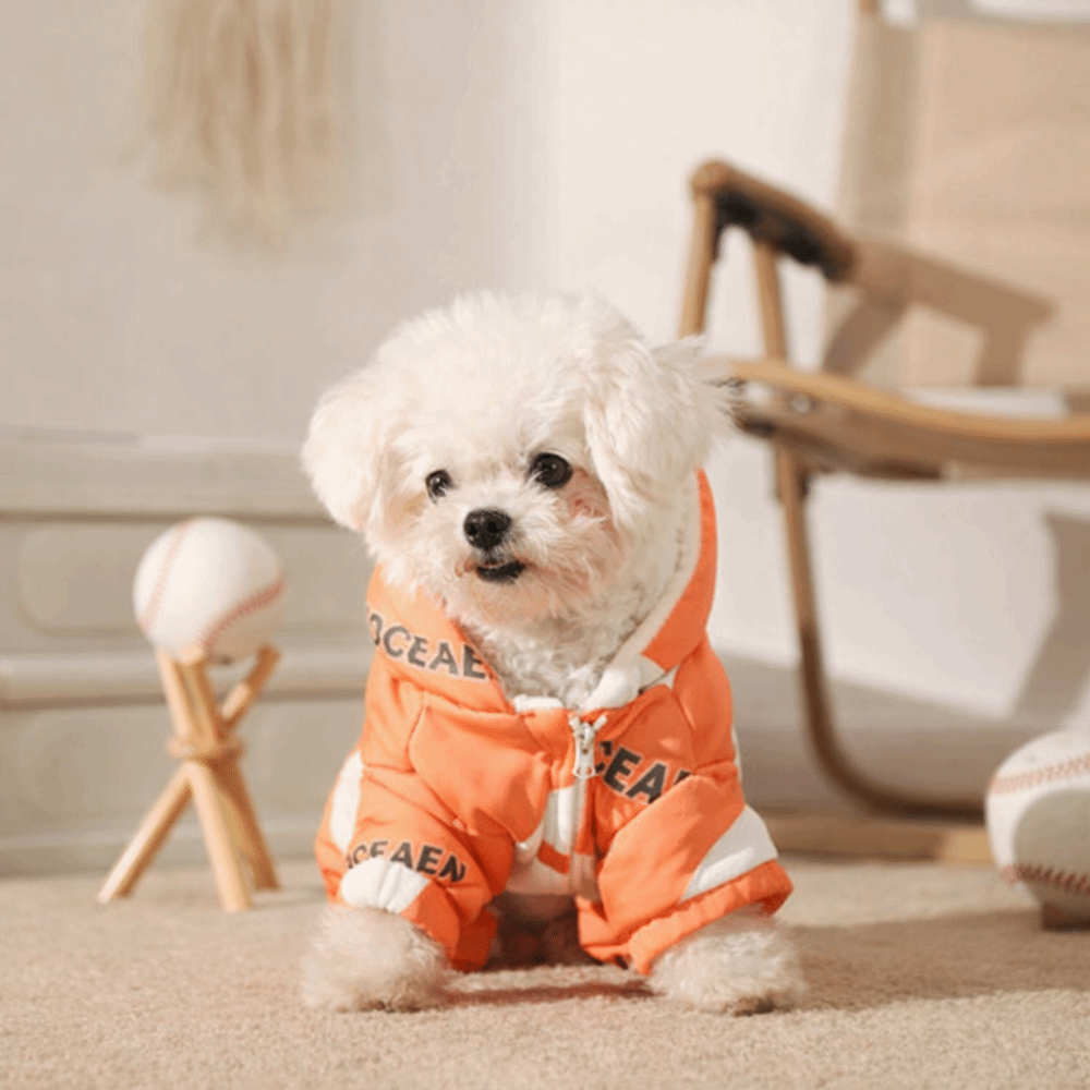 Abbigliamento Invernale per Ca - Winter Clothing For Dogs recensione e prezzo