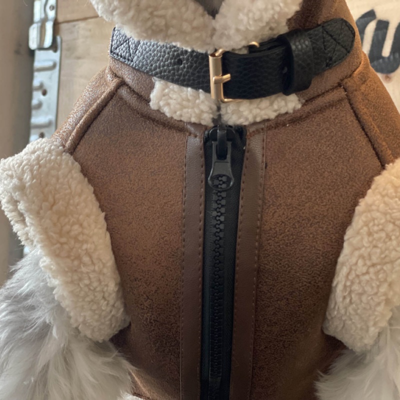 Pet Autunno Inverno Velluto Gi - Winter Clothing For Dogs recensione e prezzo