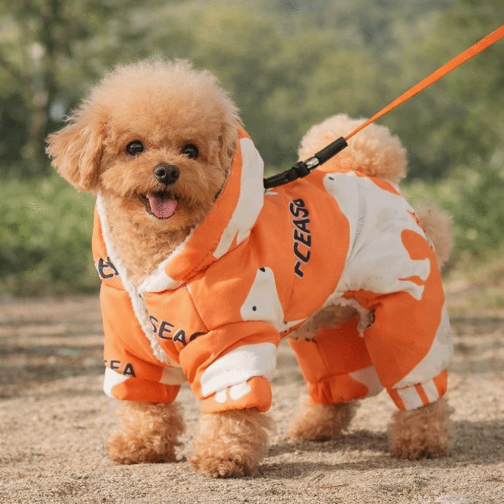 Carino caldo vestiti invernali - Winter Clothing For Dogs recensione e prezzo