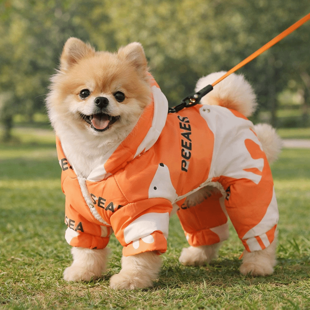 Carino caldo vestiti invernali - Winter Clothing For Dogs recensione e prezzo